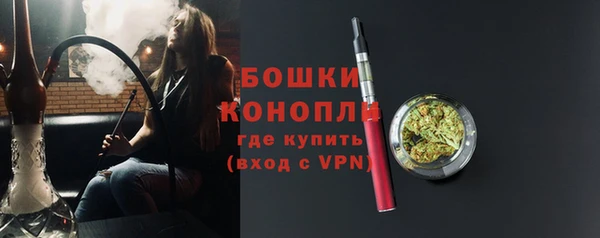 шишки Волоколамск