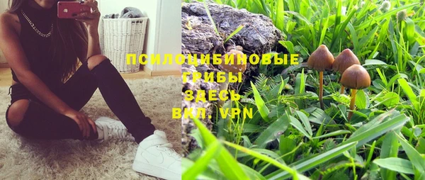 шишки Волоколамск