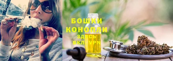 spice Верея