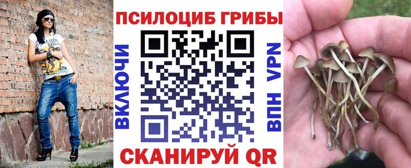 Галлюциногенные грибы Psilocybe  Купить  Куртамыш 